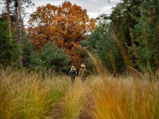 Parco vacanze Heeze-Leende Ambiente 20
