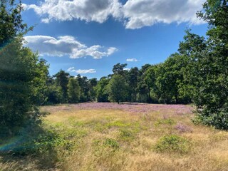 Vakantiepark Heeze-Leende Omgeving 26