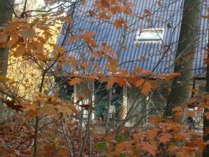 Holiday park Semi-detached house with a dishwasher - Rheezerveen - image1