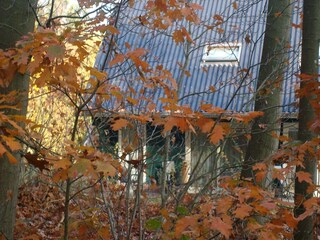 Ferienpark Rheezerveen Außenaufnahme 6