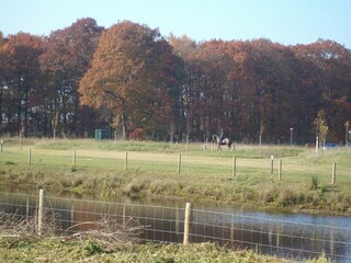 Vakantiepark Rheezerveen Buitenaudio-opname 5
