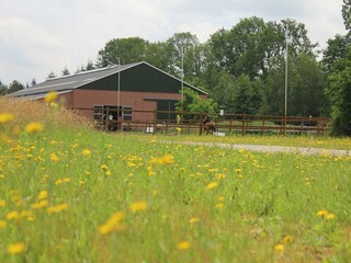 Vakantiepark Rheezerveen Omgeving 31