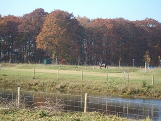 Ferienpark Rheezerveen Außenaufnahme 7