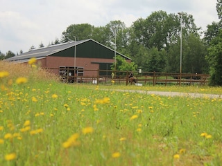 Ferienpark Rheezerveen Umgebung 27