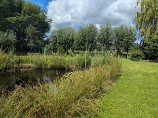 Ferienpark Rheezerveen Umgebung 24