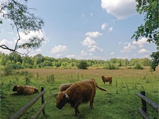 Parco vacanze Rheezerveen Ambiente 21