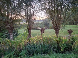 Vakantiepark Rheezerveen Omgeving 35