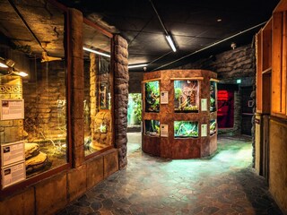 Parc de vacances Weißenhäuser Strand  39