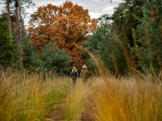 Parco vacanze Heeze-Leende Ambiente 18