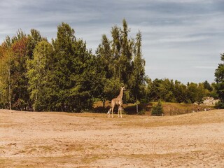 Parc de vacances Heeze-Leende Environnement 26