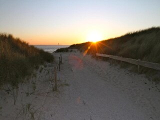 Vakantiepark Hollum Omgeving 15