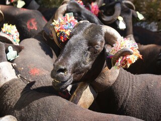 Vakantiepark Travanca de Lagos Omgeving 30