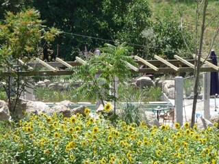 Ferienpark Travanca de Lagos Außenaufnahme 13