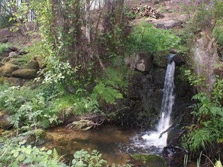 Parc de vacances Travanca de Lagos Environnement 22
