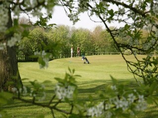 Vakantiepark Bad Bentheim Omgeving 25