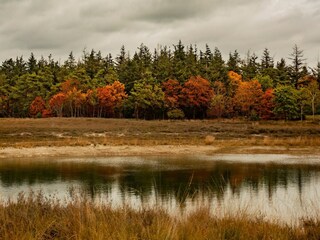 Parc de vacances Heeze-Leende Environnement 16
