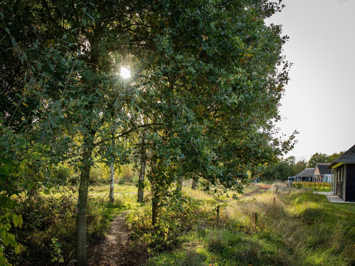 Ferienpark Heeze-Leende Umgebung 13