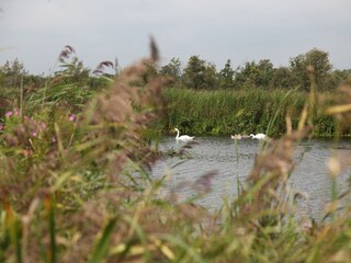Vakantiepark Wanneperveen Omgeving 36
