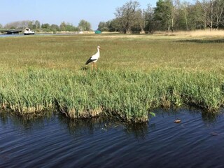 Parc de vacances Wanneperveen Environnement 30