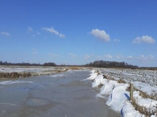 Vakantiepark Wanneperveen Omgeving 38