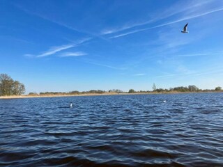 Parc de vacances Wanneperveen Environnement 40