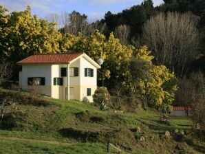 Holiday park Freistehendes Ferienhaus mit Gemeinschaftspool und Aussicht - Travanca de Lagos - image1