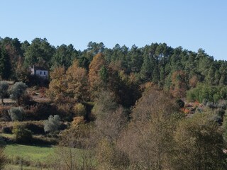 Holiday park Travanca de Lagos Outdoor Recording 11