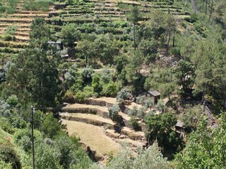Holiday park Travanca de Lagos Environment 26