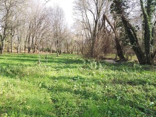 Parc de vacances Travanca de Lagos Environnement 25