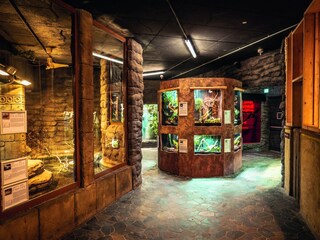 Ferienpark Weißenhäuser Strand  21