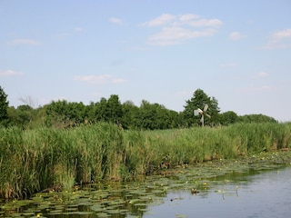 Ferienpark Wanneperveen Umgebung 20