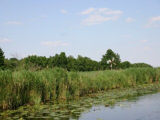 Vakantiepark Wanneperveen Omgeving 33