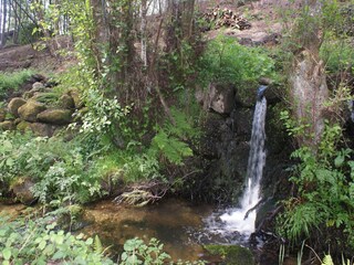 Parc de vacances Travanca de Lagos Environnement 18