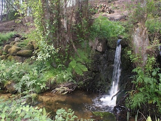 Holiday park Travanca de Lagos Environment 29