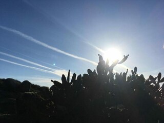 Parco vacanze Travanca de Lagos Ambiente 28