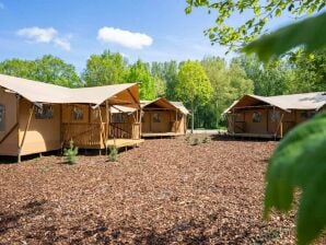 Vakantiepark Leuke tent bij Amsterdam - Ouderkerk aan de Amstel - image1