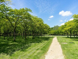 Parc de vacances Ouderkerk aan de Amstel Environnement 14