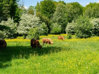 Parc de vacances Ouderkerk aan de Amstel Environnement 28