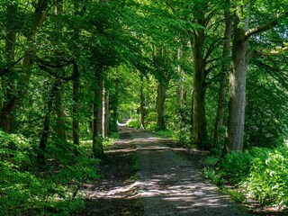 Parc de vacances Ouderkerk aan de Amstel Environnement 12