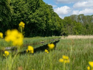 Parc de vacances Ouderkerk aan de Amstel Environnement 13