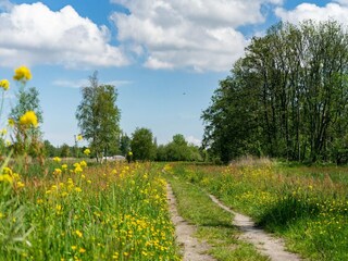 Parc de vacances Ouderkerk aan de Amstel Environnement 26