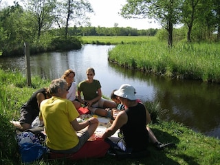 Holiday park Wanneperveen Environment 34