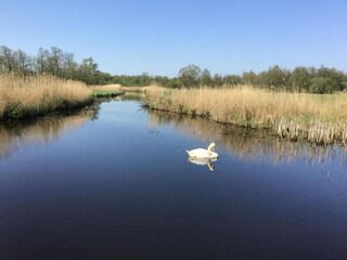 Parc de vacances Wanneperveen Environnement 19