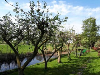 Vakantiepark Wanneperveen Omgeving 34