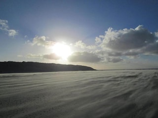 Vakantiepark Hollum Omgeving 23