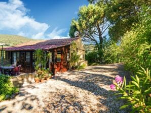 Vakantiepark Pittoreske cottage in Penafiel met gemeenschappelijk zwembad - Paredes - image1