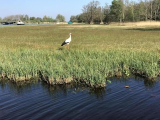 Ferienpark Wanneperveen Umgebung 25