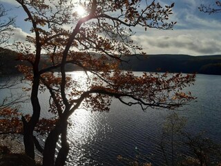Parque de vacaciones Heimbach/Eifel Entorno 20