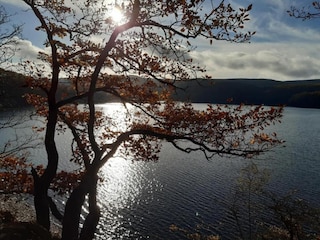 Ferienpark Heimbach/Eifel Umgebung 16