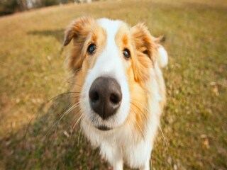 Ferienpark Heimbach/Eifel  29